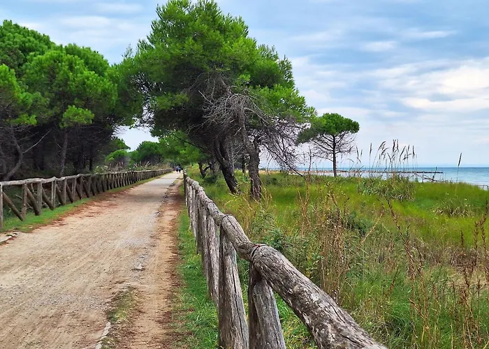 Comfy Apartment In Lido Dei Pini - Beahost