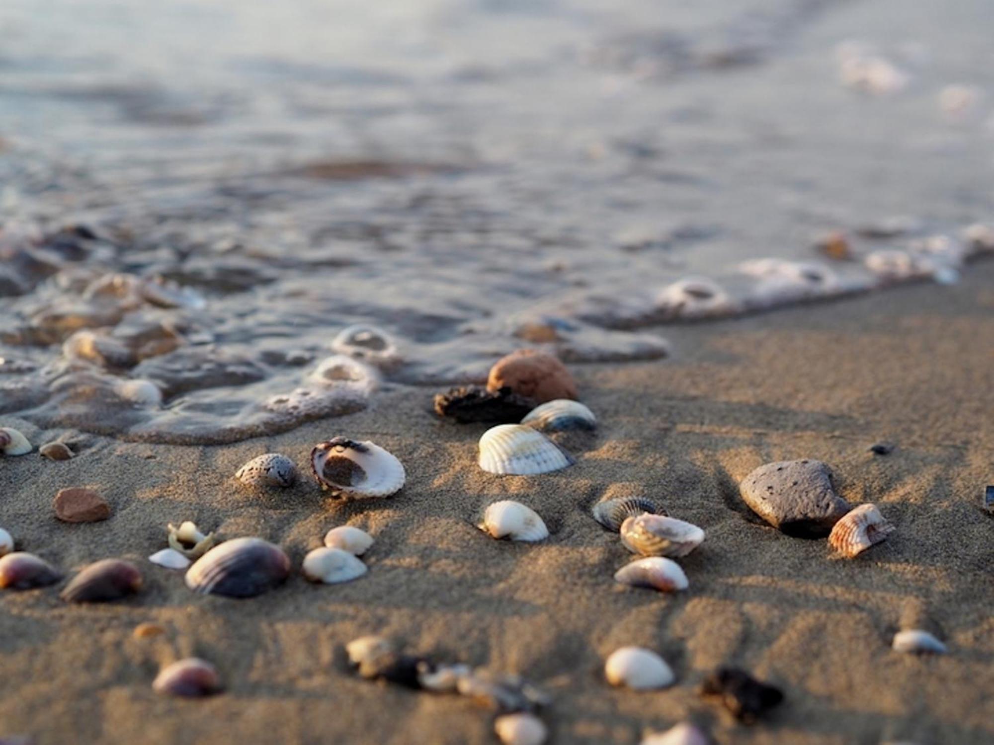 Comfy In Lido Dei Pini By Beahost Bibione
